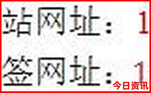 旅游拼团平台有哪些